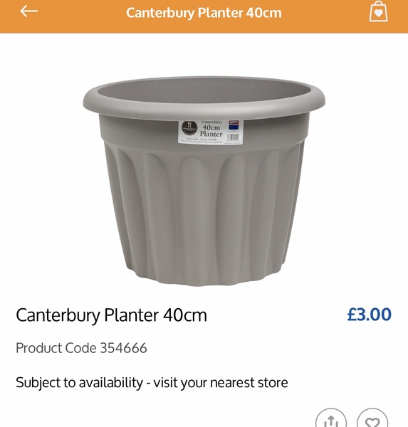 Alternative plant pots for indoors - especially extra large