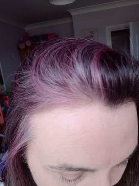 Violet on the greys - is it feasible?