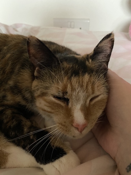 I think my baby is poorly :(