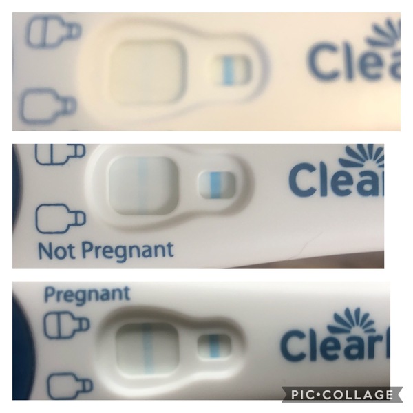 August IVF