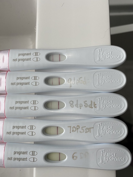 August IVF