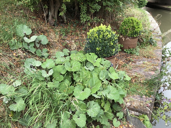 Can anyone identify this please?!