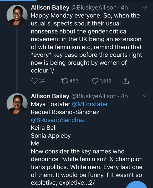 Allison Bailey calls out TRAs racism and hypocrisy
