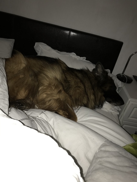 Who/what is next to you right now
