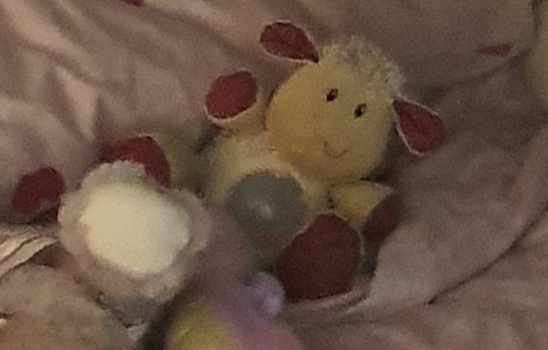 To ask if you know what this teddy is called?!