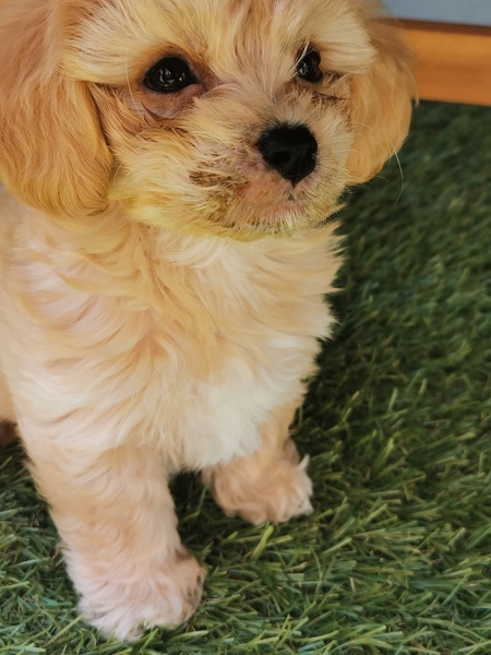 Any vets?