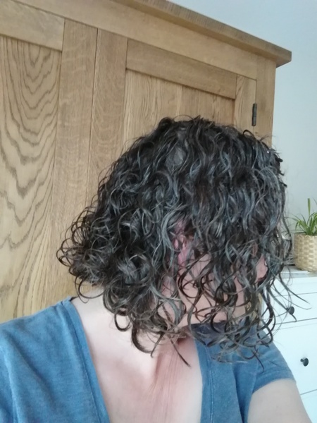 ➿ Fantastic Haircare: Making Sense and Science of the Curly Girl Method