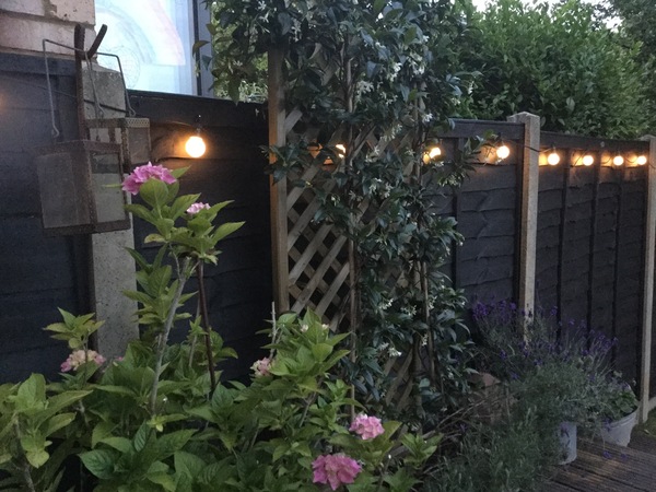 Garden lights