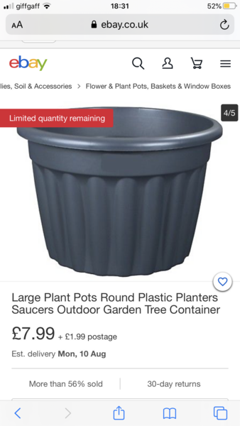 Alternative plant pots for indoors - especially extra large