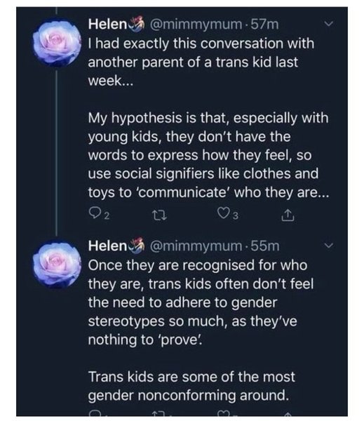 Has Mermaids removed a signs your child is trans page from its website