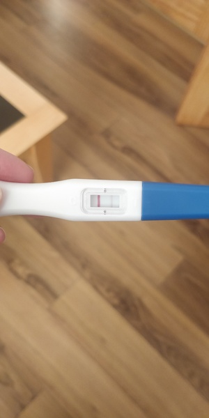 Penguin huddle 🐧🐧🐧 TTC after pregnancy loss - Thread 35 - time for some sticky BFP's