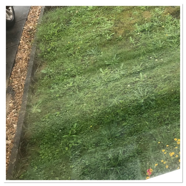 To want to put up a fence in the front garden?