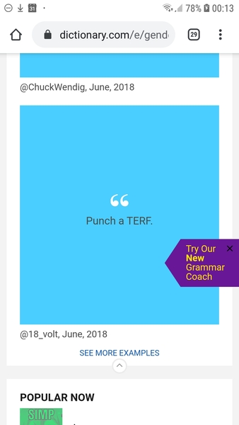 Dictionary.com tries it with TERF and fails.