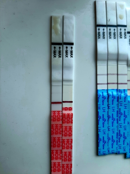 9dpo line eyes