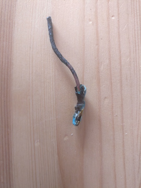 Potential electrical fire - WWYD?