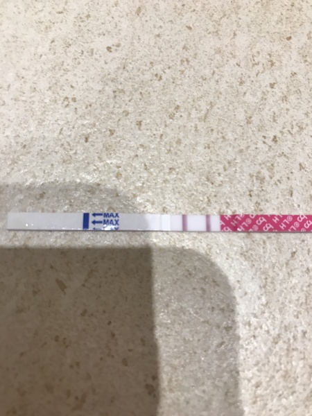Ovulation.. lets go again !