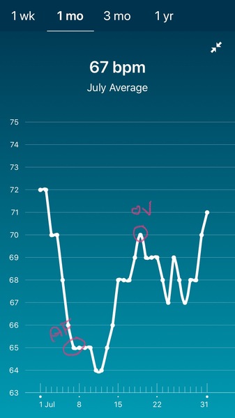 Tracking your cycle and possible BFP using RHR - part 2