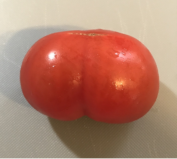 ADs deflower male cucumbers for the Greater Good. All phallic aubergines welcome .