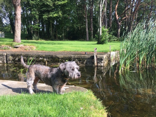 Come and tell me your dull and unexciting news...