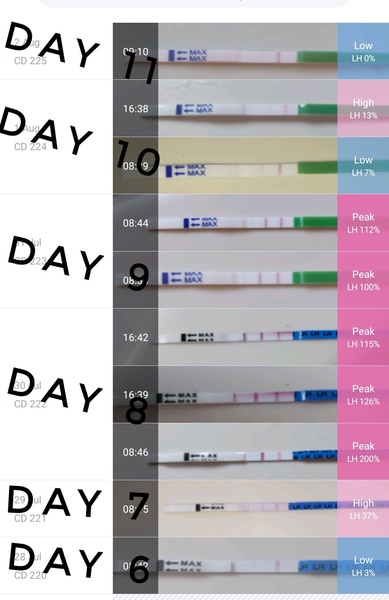 Ovulation tests