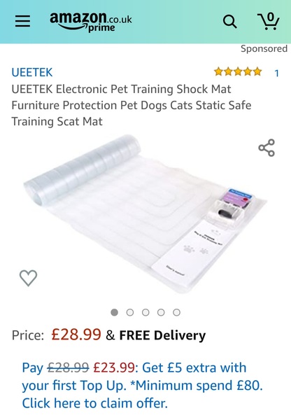 Cat is driving me mad
