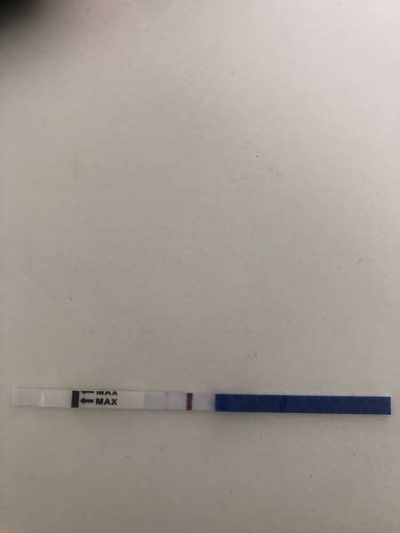 5dp5dt faint bfp
