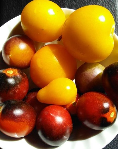 Westministenders: Don't forget to stockpile. Again.