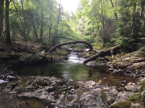 Any Witches Here? Part 11