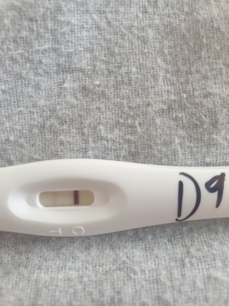 IVF Egg collection July 2020