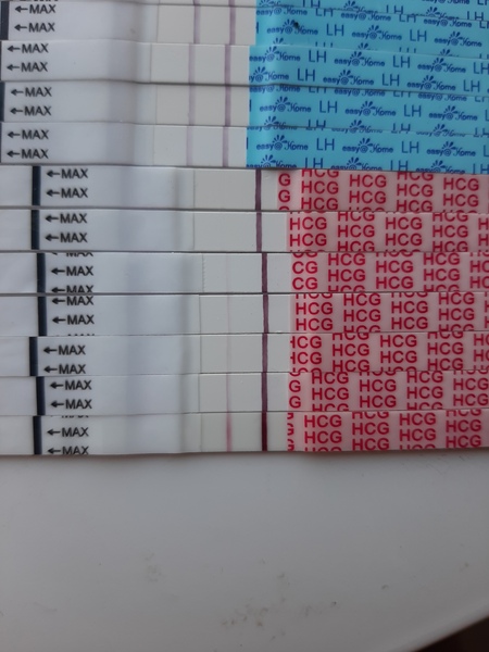 BFP after early miscariage/mmc/chemical