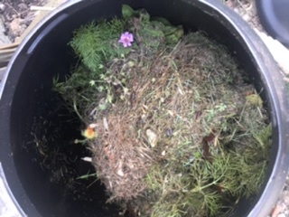 My Compost Heap Hell