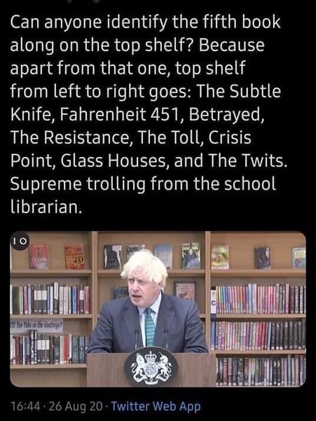 Can anyone identify this book cover from this very blurred photograph?