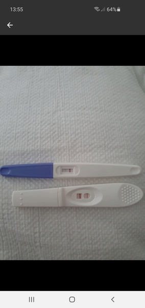 Help please - Ovulation after miscarriage