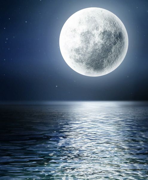 Any Witches Here? Part 11