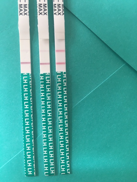 Photo attached- am I ovulating help?