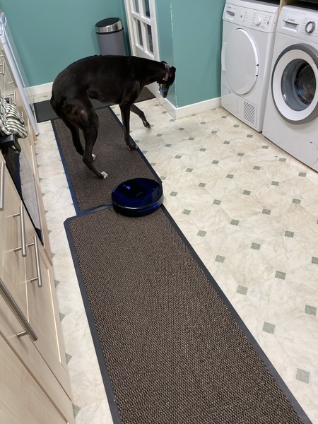 Any new Eufy Robovac parents out there?