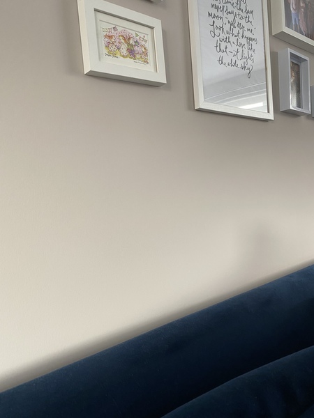 Help need to pick paint for my living room before 5pm.