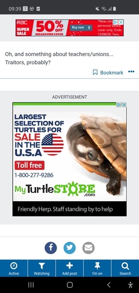Turtle advert
