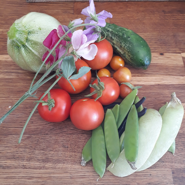 Allotment/Veg Patch Thread 16  Weather weirdness prevails !