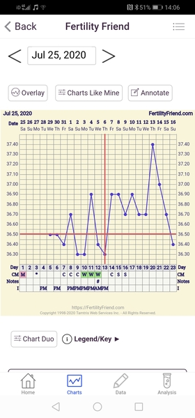 🦕 Catching up - ttc after miscarriage part 4 🦕