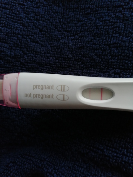 OH better impregnate me good - August Bus 15