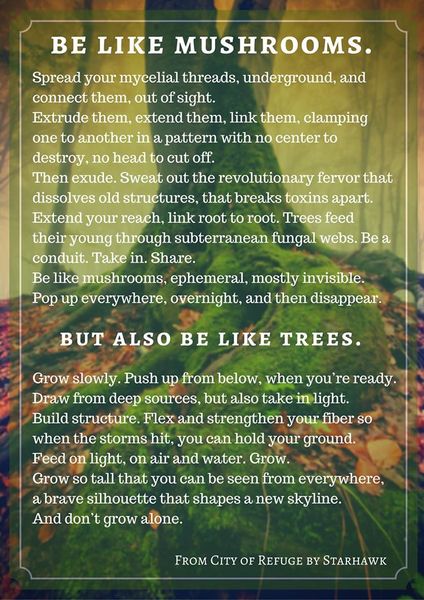 Any Witches Here? Part 12.