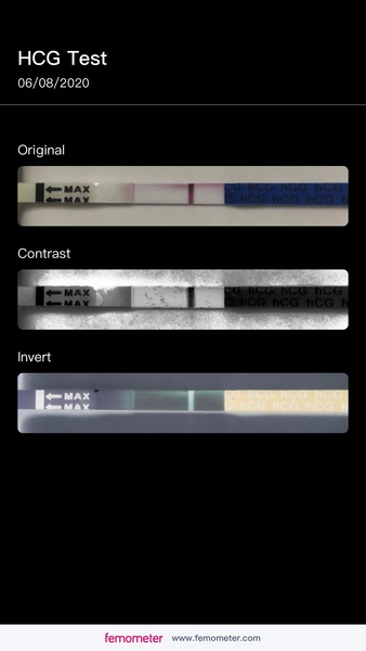 TTC after a chemical pregnancy / early miscarriage