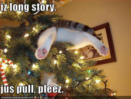 Alternative to Christmas tree?