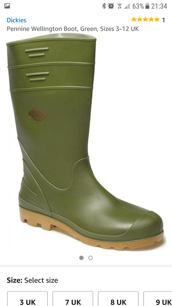 To spend at least 25% of my waking hours trying to find a pair of wellies that are easy to put on and take off avain