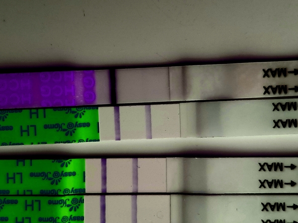 9dpo line eyes