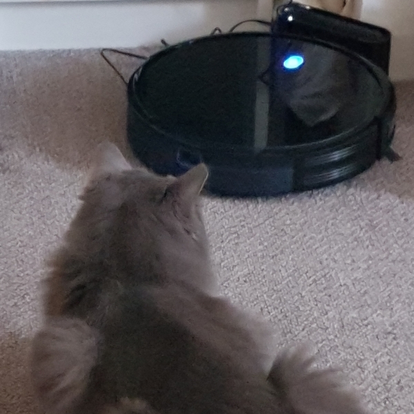 Any new Eufy Robovac parents out there?