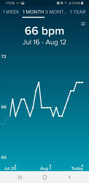 Tracking your cycle and possible BFP using RHR - part 2