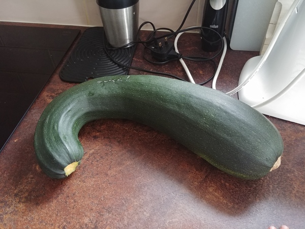 What shall I do with this beast? (Cooking suggestions only please)