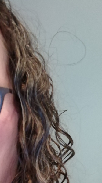 ➿ Fantastic Haircare: Making Sense and Science of the Curly Girl Method